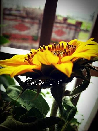 2013-04-25-08-35-47_deco