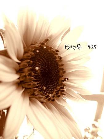 2013-04-28-12-53-42_deco