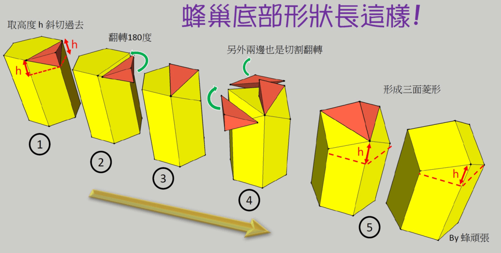 蜂巢底部形狀變化.png