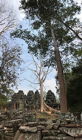 20190207班蒂喀黛寺 (10)