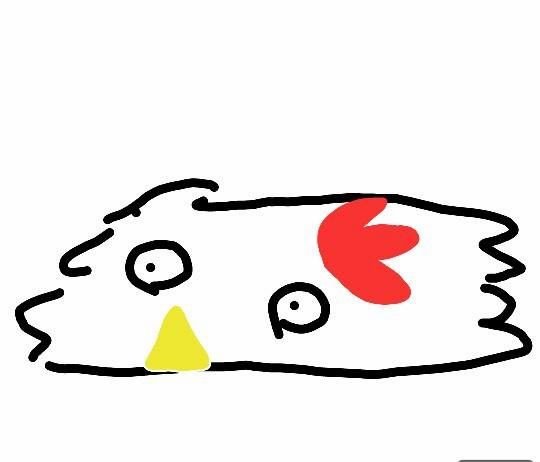 巴毛