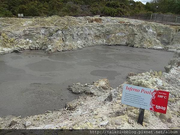 Rotorua-Hells Gates地獄之門地熱公園泥漿溫泉 (3).jpg