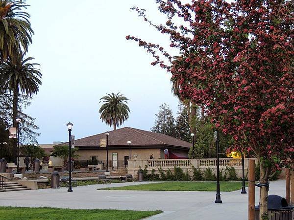 Campus Exterior Palm tree.jpg