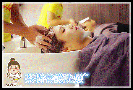 IMGP1704_副本.gif