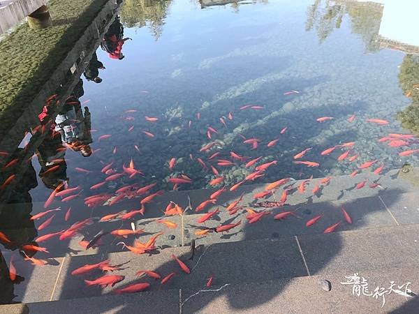 蘇州博物館 (1).JPG