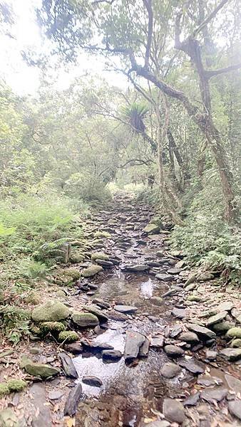 福山植物園 (7).JPG