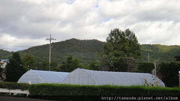 DSC01538.JPG