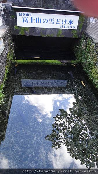 DSC01545.JPG