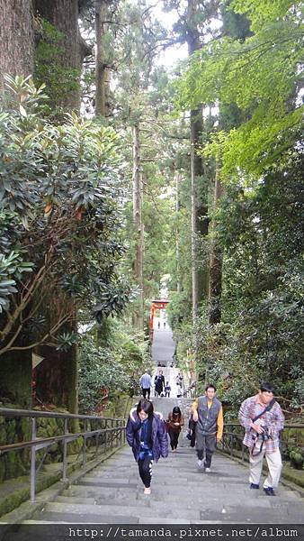 DSC01570.JPG