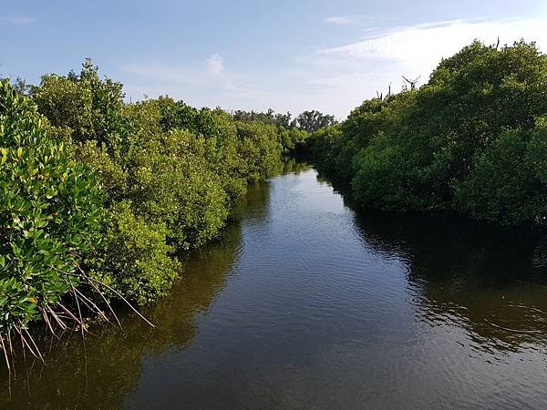 20170903_074543.jpg