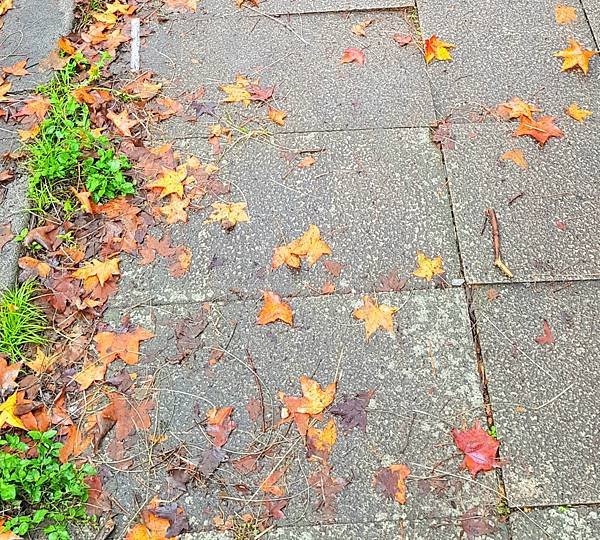 20211123_121615.jpg