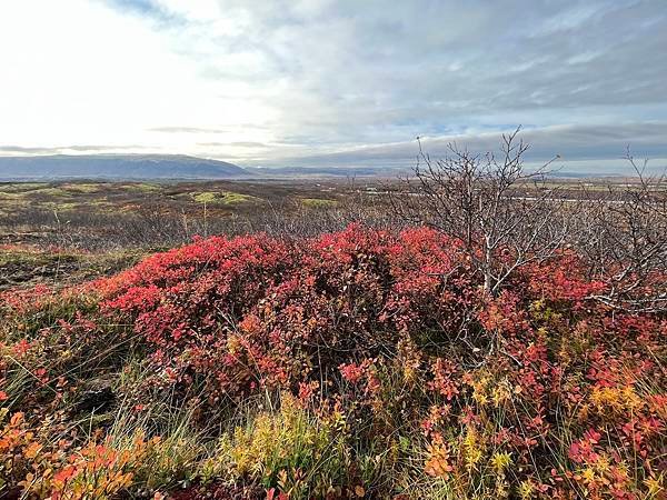 DAY10《黃金圈-Thingvellir 辛格维利爾國家公