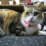 IMG_0388.JPG