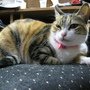 IMG_0389.JPG