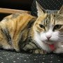 IMG_0407.JPG