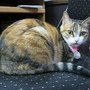 IMG_0393.JPG