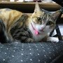 IMG_0387.JPG