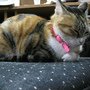 IMG_0390.JPG
