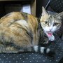 IMG_0392.JPG