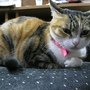 IMG_0391.JPG