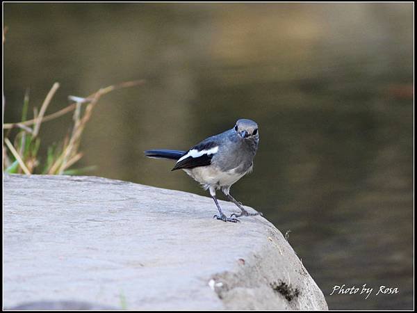 IMG_8086.jpg