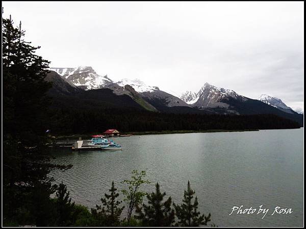 IMG_2410.jpg