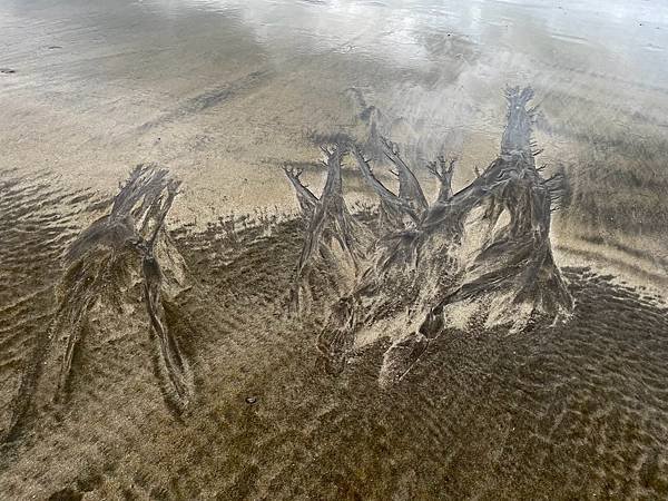 海邊沙畫