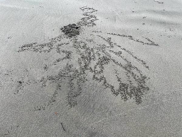 海邊沙畫