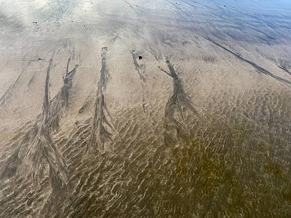 海邊沙畫