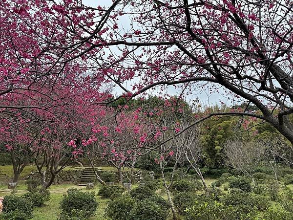 台北一日遊2.