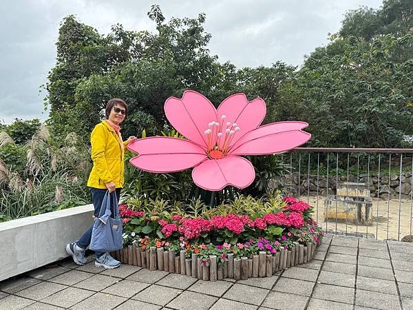 再訪三層崎花海