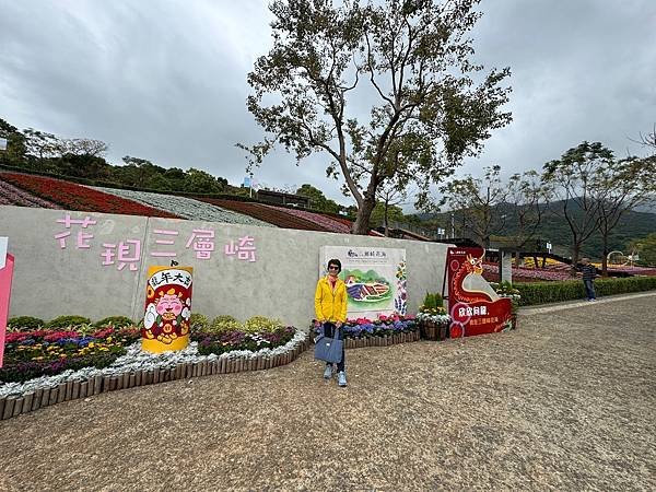 再訪三層崎花海
