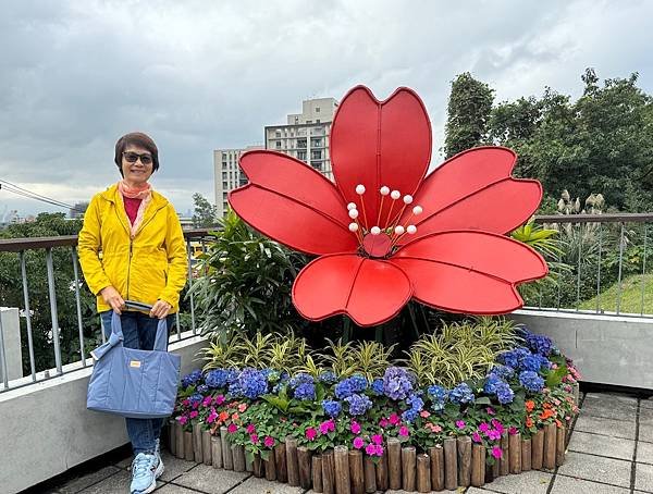 再訪三層崎花海
