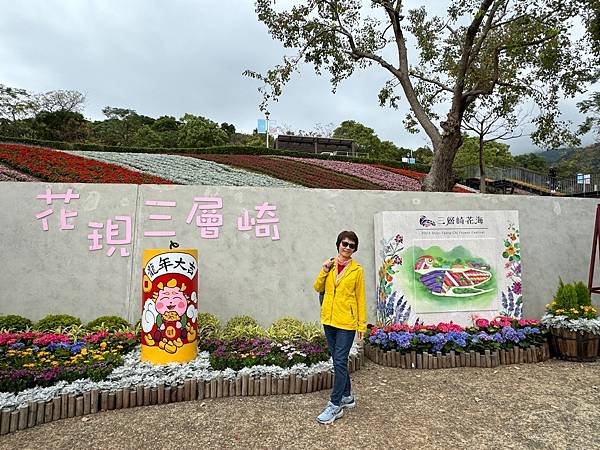 再訪三層崎花海