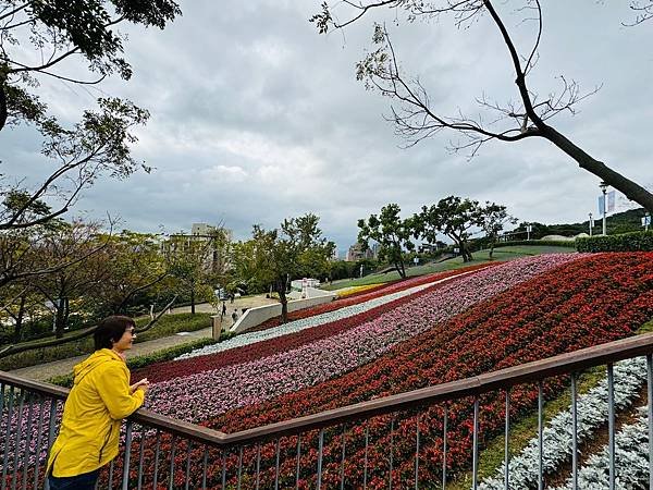 再訪三層崎花海