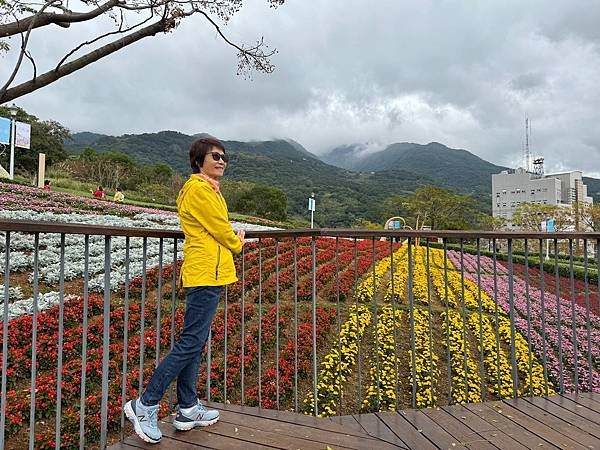 再訪三層崎花海