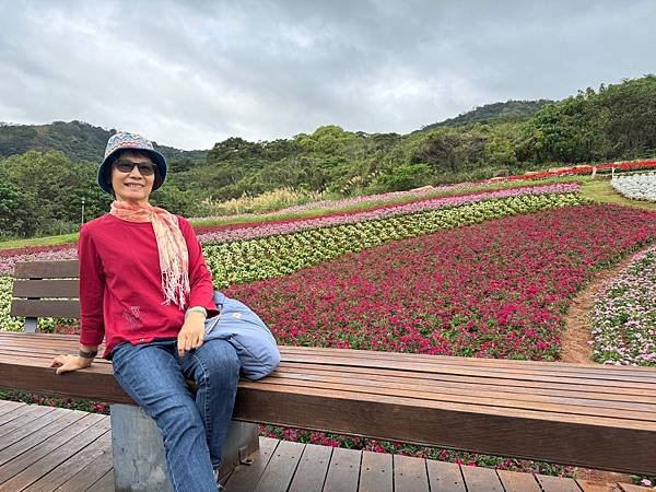 再訪三層崎花海