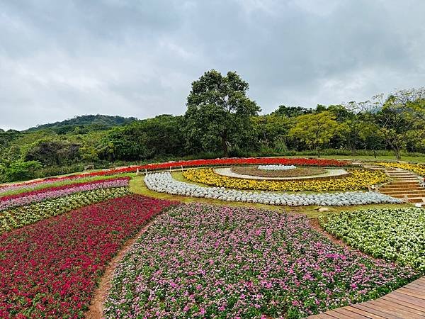 再訪三層崎花海