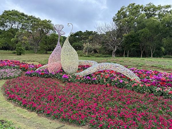 再訪三層崎花海