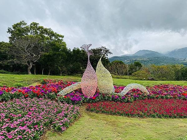 再訪三層崎花海