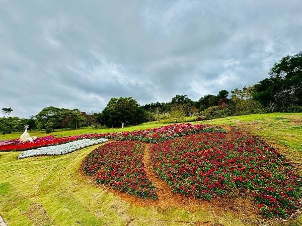再訪三層崎花海