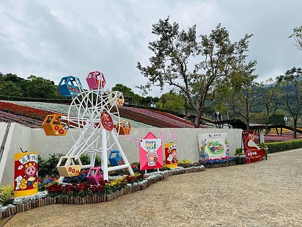 再訪三層崎花海