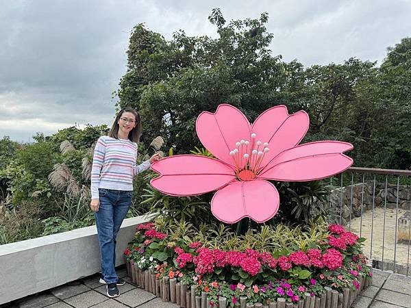 再訪三層崎花海