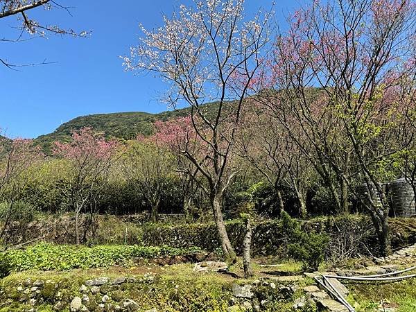 陽明山