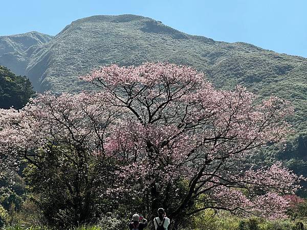 陽明山