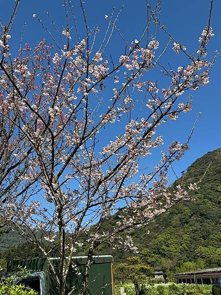 陽明山