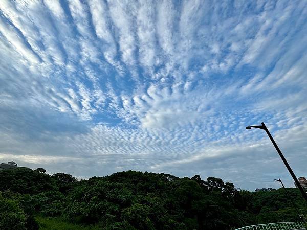 5月淡水