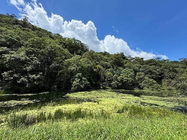 福山植物園 - -宜蘭之旅 1.