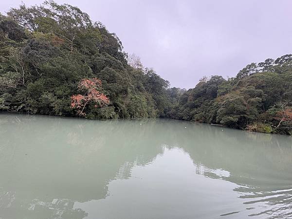 石門水庫賞楓