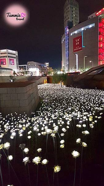 114_副本.jpg